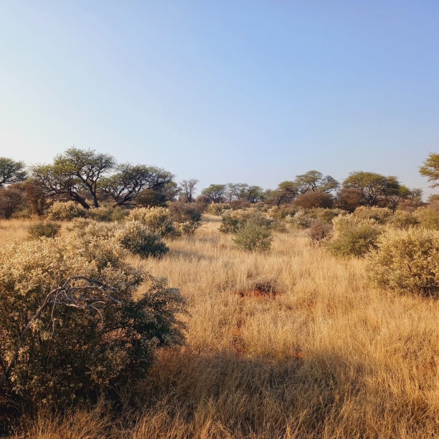 Commercial Property for Sale in Barkly West Rural Northern Cape